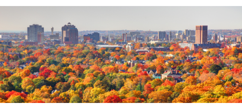 Lasciati Accompagnare New England - 9 notti