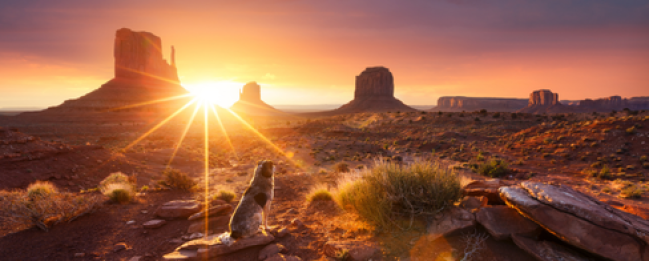 Lasciati Accompagnare nei parchi dell'Ovest - 12 notti 